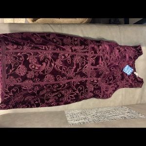 NWT Free people velvet dress